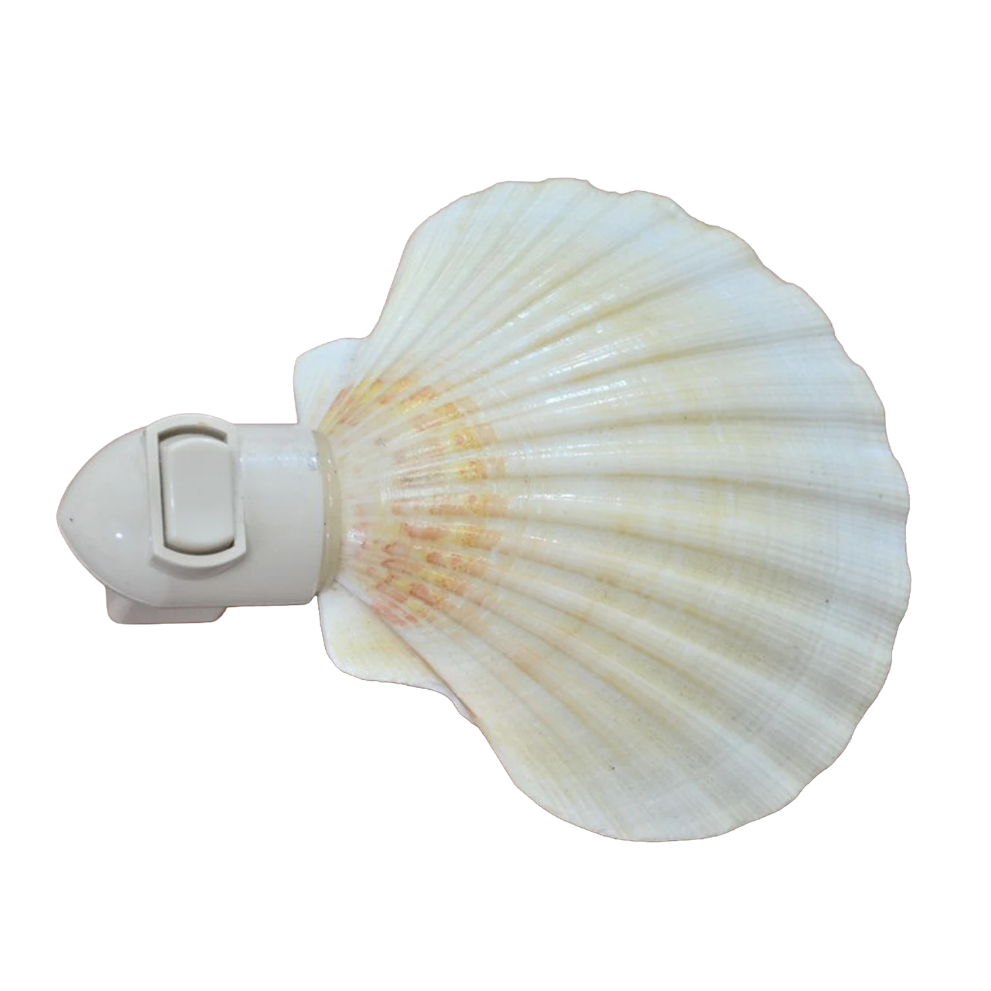 Fan-Shaped Seashell Plug-In Night Light, Coastal Style Wall Socket Ambient Lamp For Interior Decor And Gentle Night Illumination