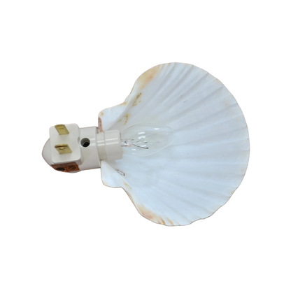 Fan-Shaped Seashell Plug-In Night Light, Coastal Style Wall Socket Ambient Lamp For Interior Decor And Gentle Night Illumination